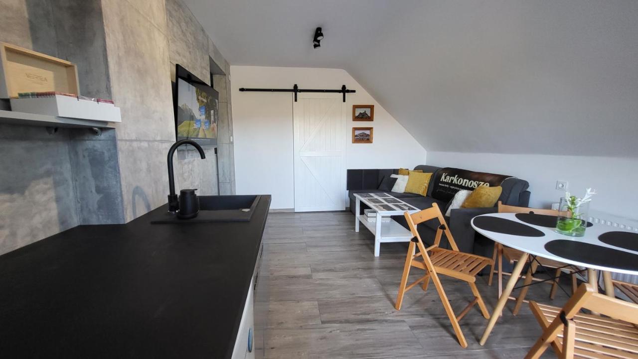 Swit - Apartament W Jezowie Sudeckim Jezow Sudecki エクステリア 写真